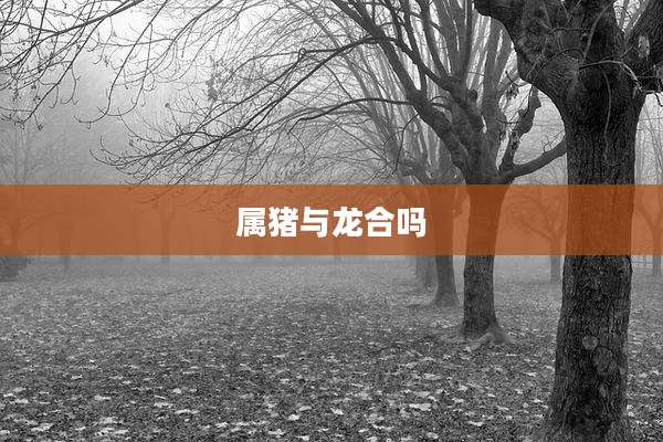 属猪与龙合吗