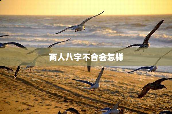 两人八字不合会怎样