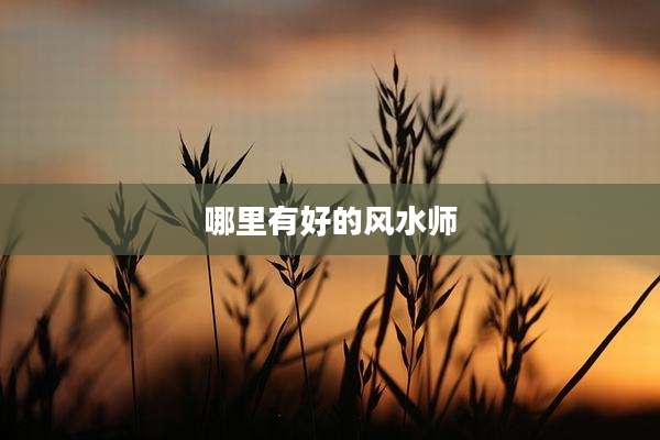 哪里有好的风水师