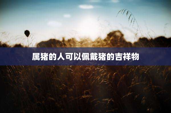 属猪的人可以佩戴猪的吉祥物
