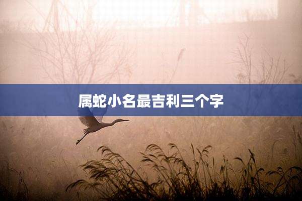 属蛇小名最吉利三个字