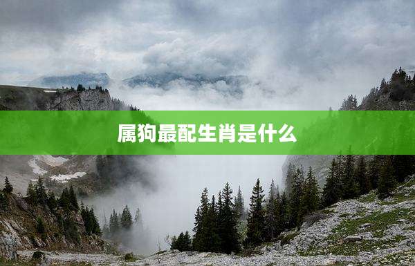 属狗最配生肖是什么
