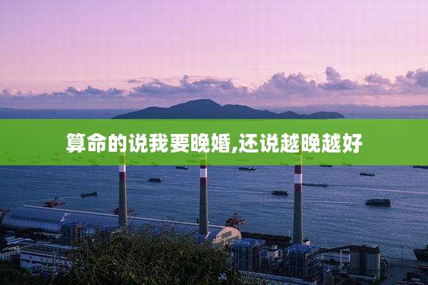 算命的说我要晚婚,还说越晚越好