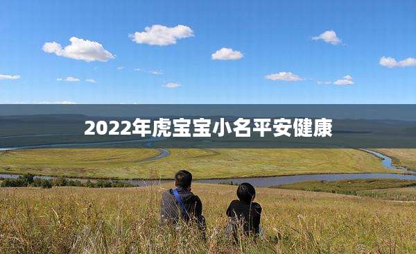 2022年虎宝宝小名平安健康