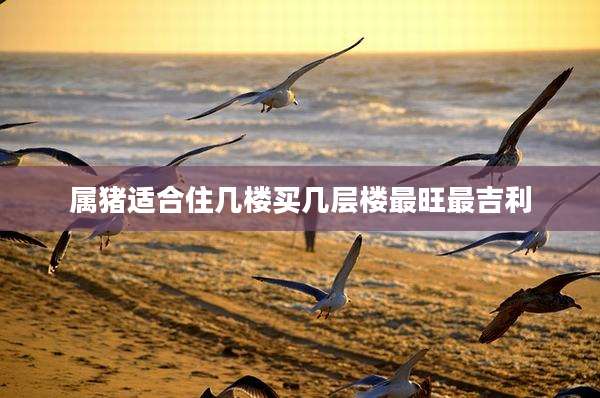 属猪适合住几楼买几层楼最旺最吉利