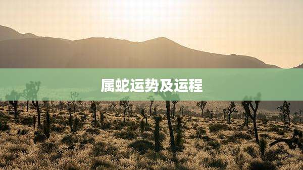 属蛇运势及运程