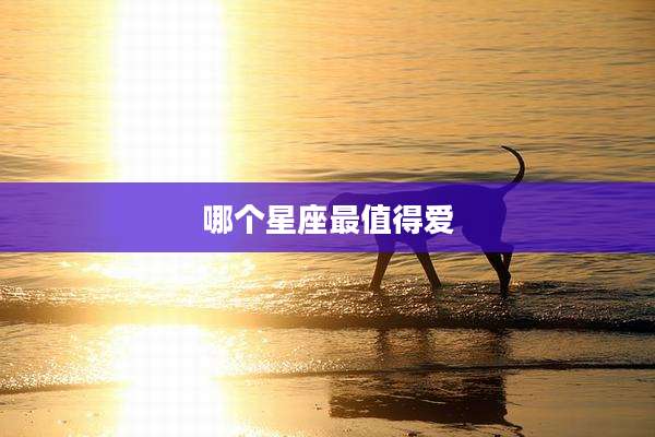哪个星座最值得爱