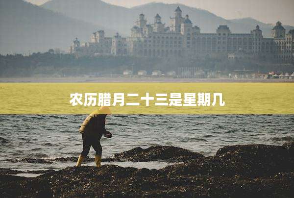 农历腊月二十三是星期几