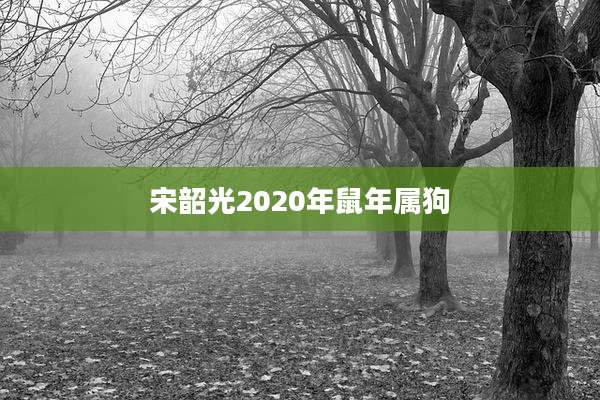 宋韶光2020年鼠年属狗