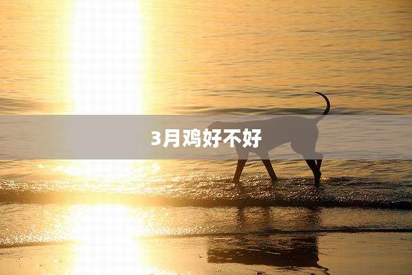 3月鸡好不好