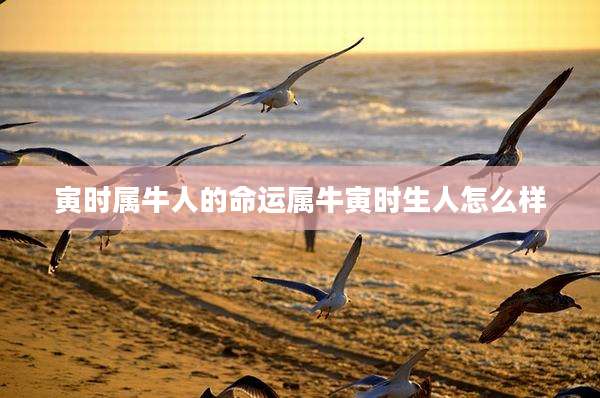 寅时属牛人的命运属牛寅时生人怎么样