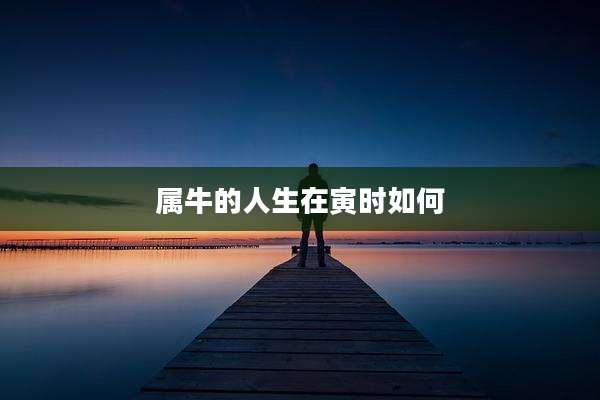 属牛的人生在寅时如何