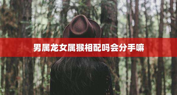男属龙女属猴相配吗会分手嘛