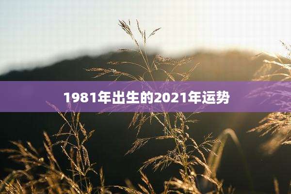 1981年出生的2021年运势