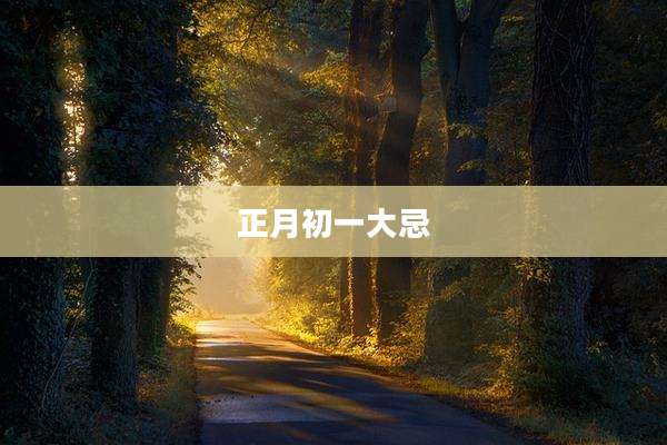 正月初一大忌