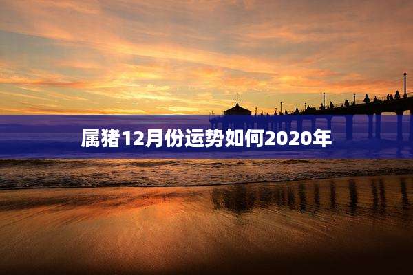 属猪12月份运势如何2020年