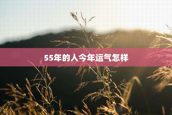 55年的人今年运气怎样