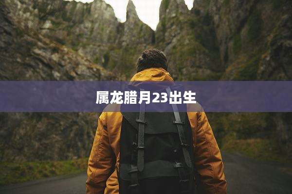 属龙腊月23出生