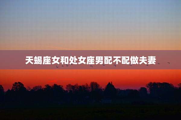 天蝎座女和处女座男配不配做夫妻