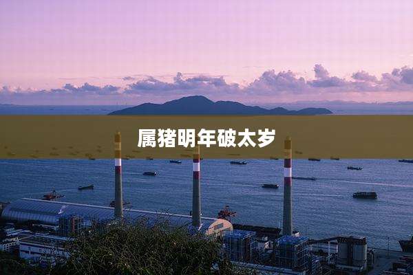 属猪明年破太岁