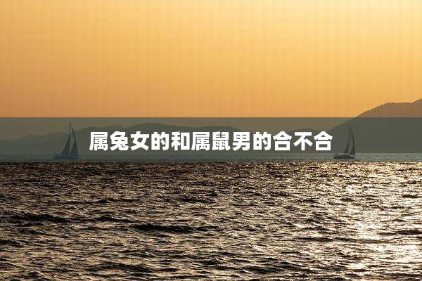 属兔女的和属鼠男的合不合