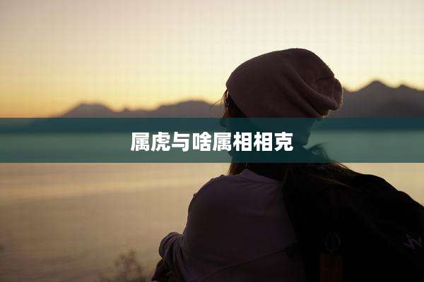 属虎与啥属相相克