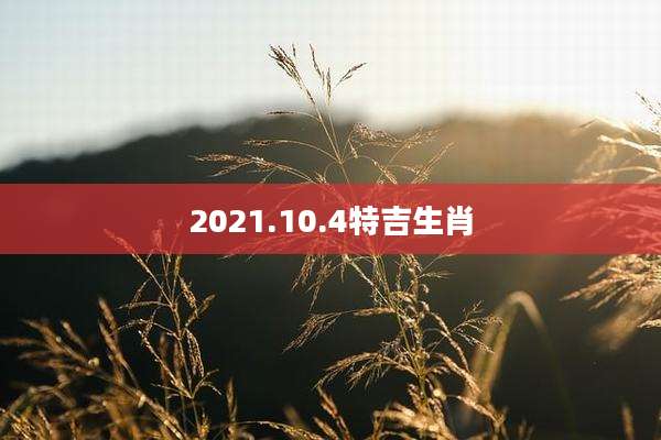 2021.10.4特吉生肖