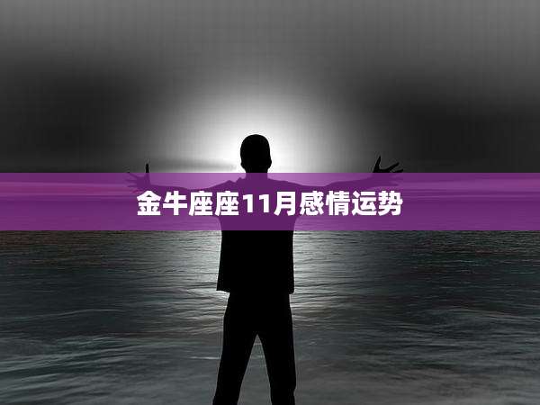 金牛座座11月感情运势