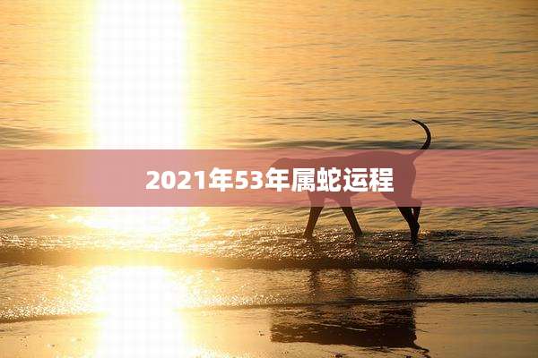 2021年53年属蛇运程