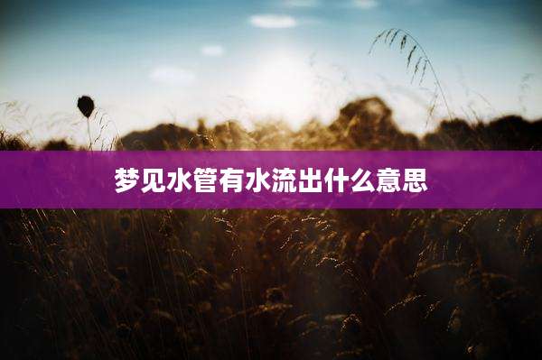 梦见水管有水流出什么意思