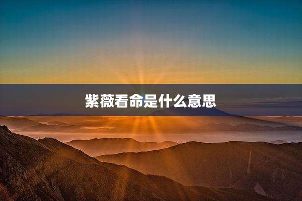 紫薇看命是什么意思