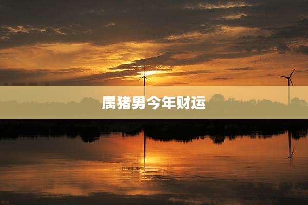 属猪男今年财运