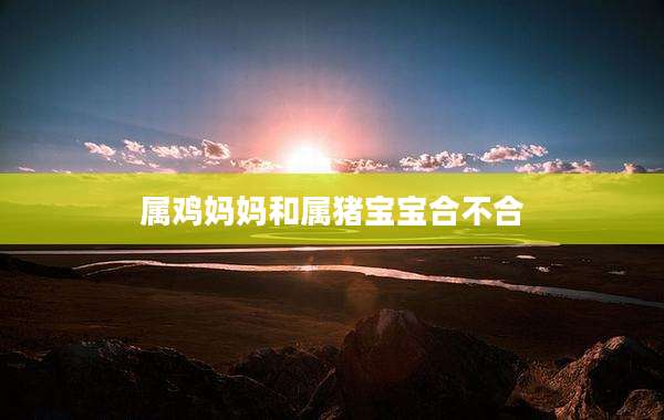 属鸡妈妈和属猪宝宝合不合