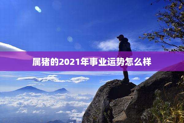 属猪的2021年事业运势怎么样
