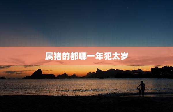 属猪的都哪一年犯太岁
