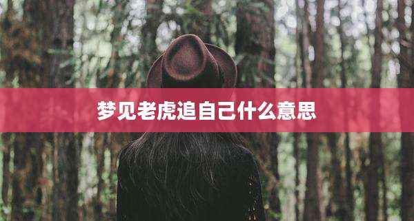 梦见老虎追自己什么意思