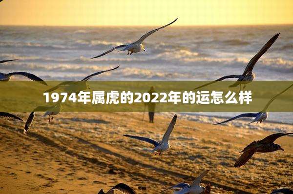 1974年属虎的2022年的运怎么样