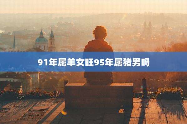 91年属羊女旺95年属猪男吗