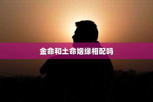 金命和土命姻缘相配吗