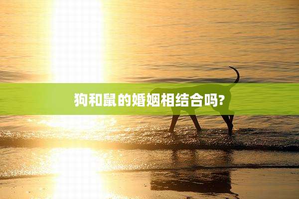 狗和鼠的婚姻相结合吗?