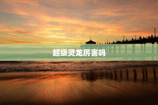 超级灵龙厉害吗