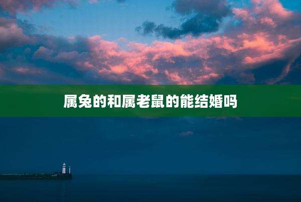 属兔的和属老鼠的能结婚吗