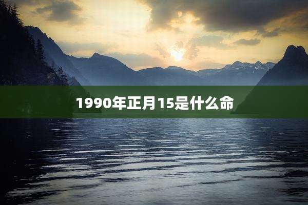 1990年正月15是什么命