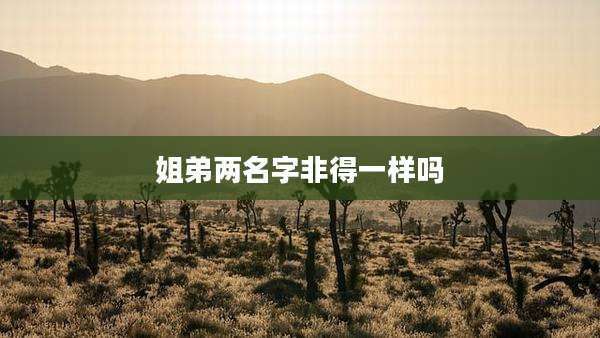 姐弟两名字非得一样吗