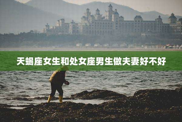 天蝎座女生和处女座男生做夫妻好不好