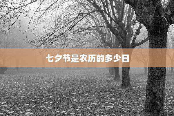 七夕节是农历的多少日