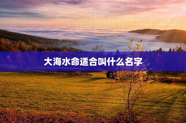 大海水命适合叫什么名字