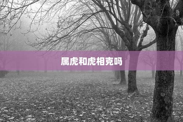 属虎和虎相克吗