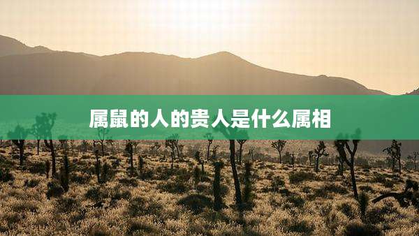 属鼠的人的贵人是什么属相