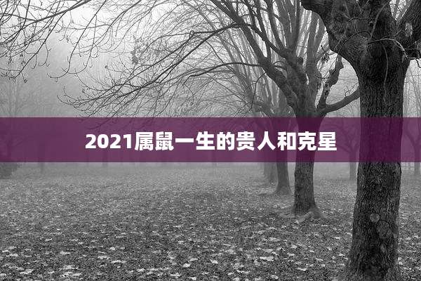 2021属鼠一生的贵人和克星